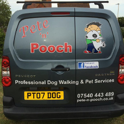 Pet Taxi Eastbourne